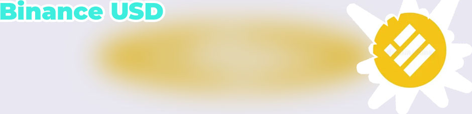 Binance usd