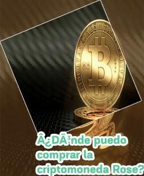 Rose criptomoneda