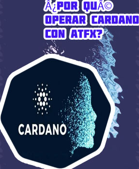 Valor cardano
